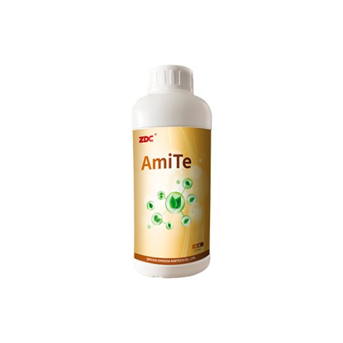 AmiTe