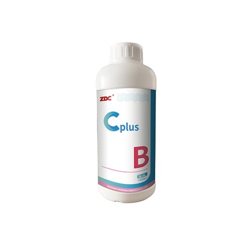 C plus B