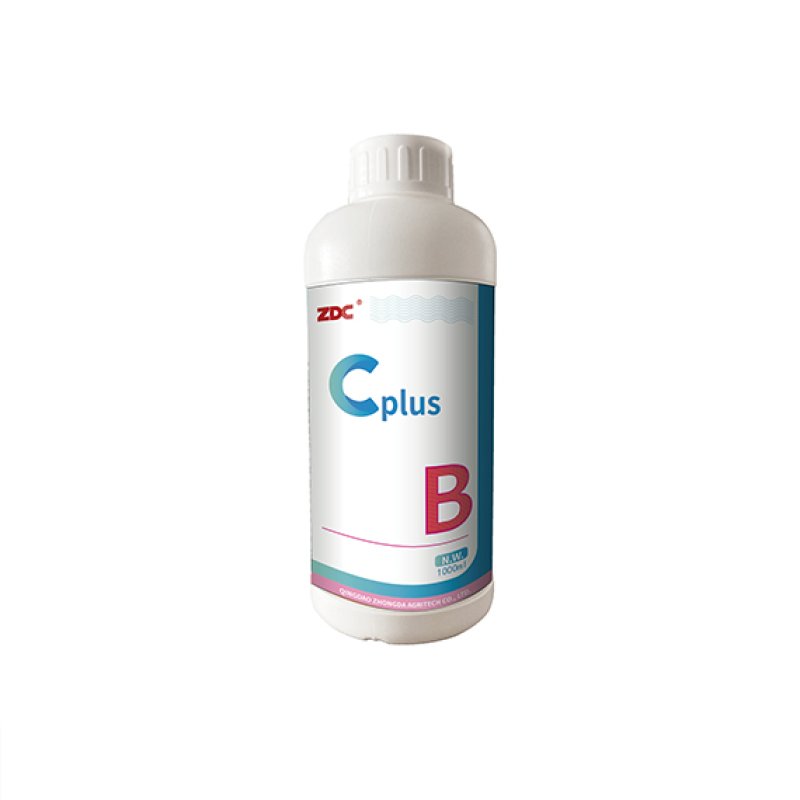 C+ B