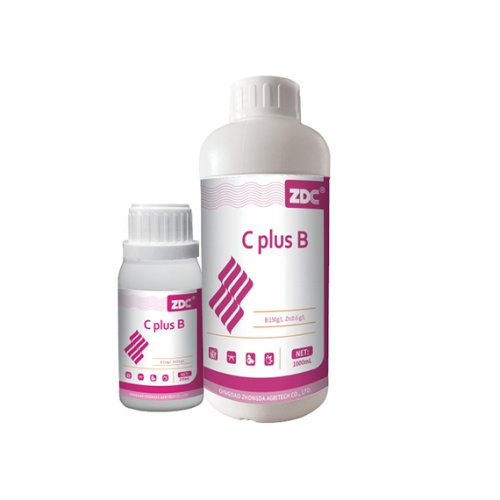 C plus B